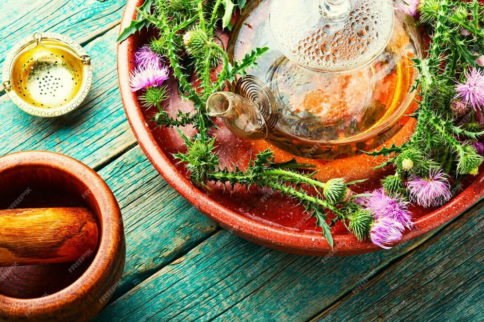 teapot-with-medicinal-wild-herbal-tea-milk-thistle-silybum-marianum-herbal-medicine_75924-18103