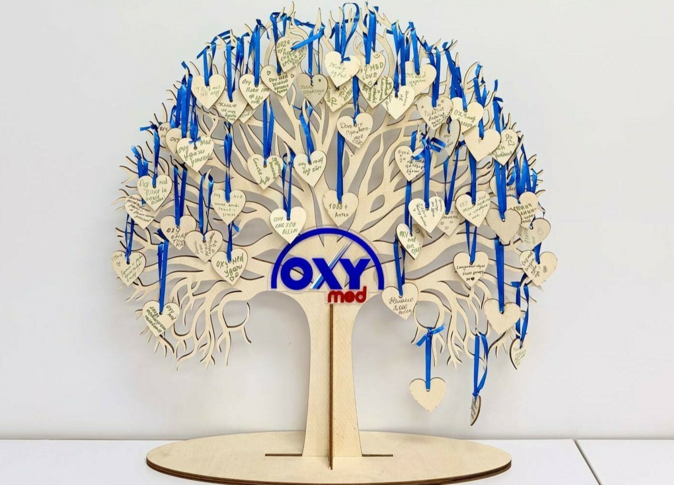 photo_2026-02-23_16-16-29_f7ef9c2d